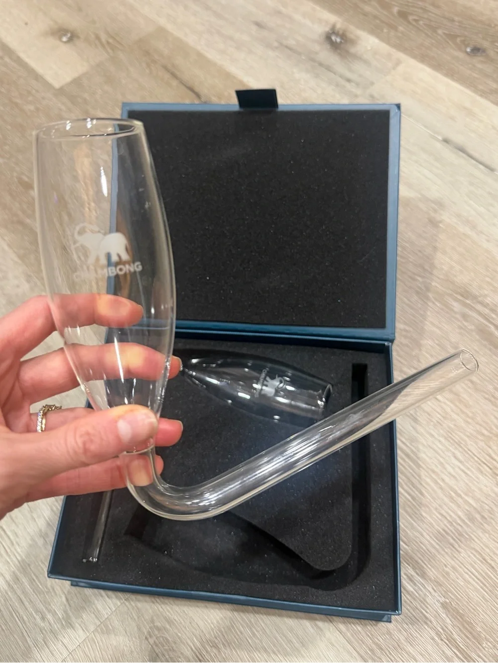 Chambong Hand-Blown Glass Champagne Flute Shooters set of 2